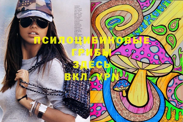синтетический гашиш Нефтекумск