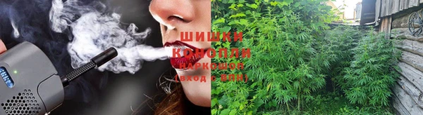 прущие грибы Анива