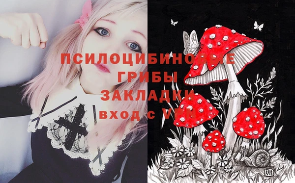 ешки Нефтегорск