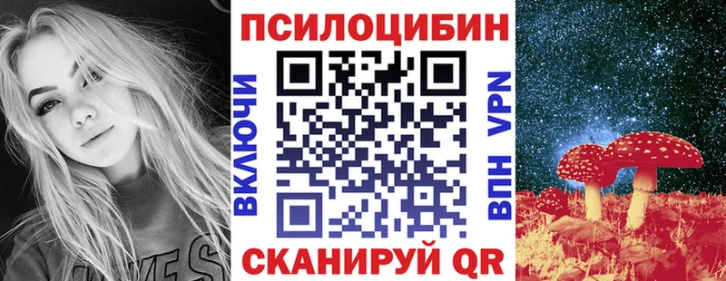 Галлюциногенные грибы мицелий  где продают   Курильск 